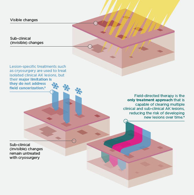 FIELDS_Infographics_V4-01.png