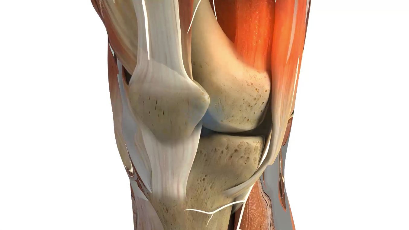 GLASS LEG.png