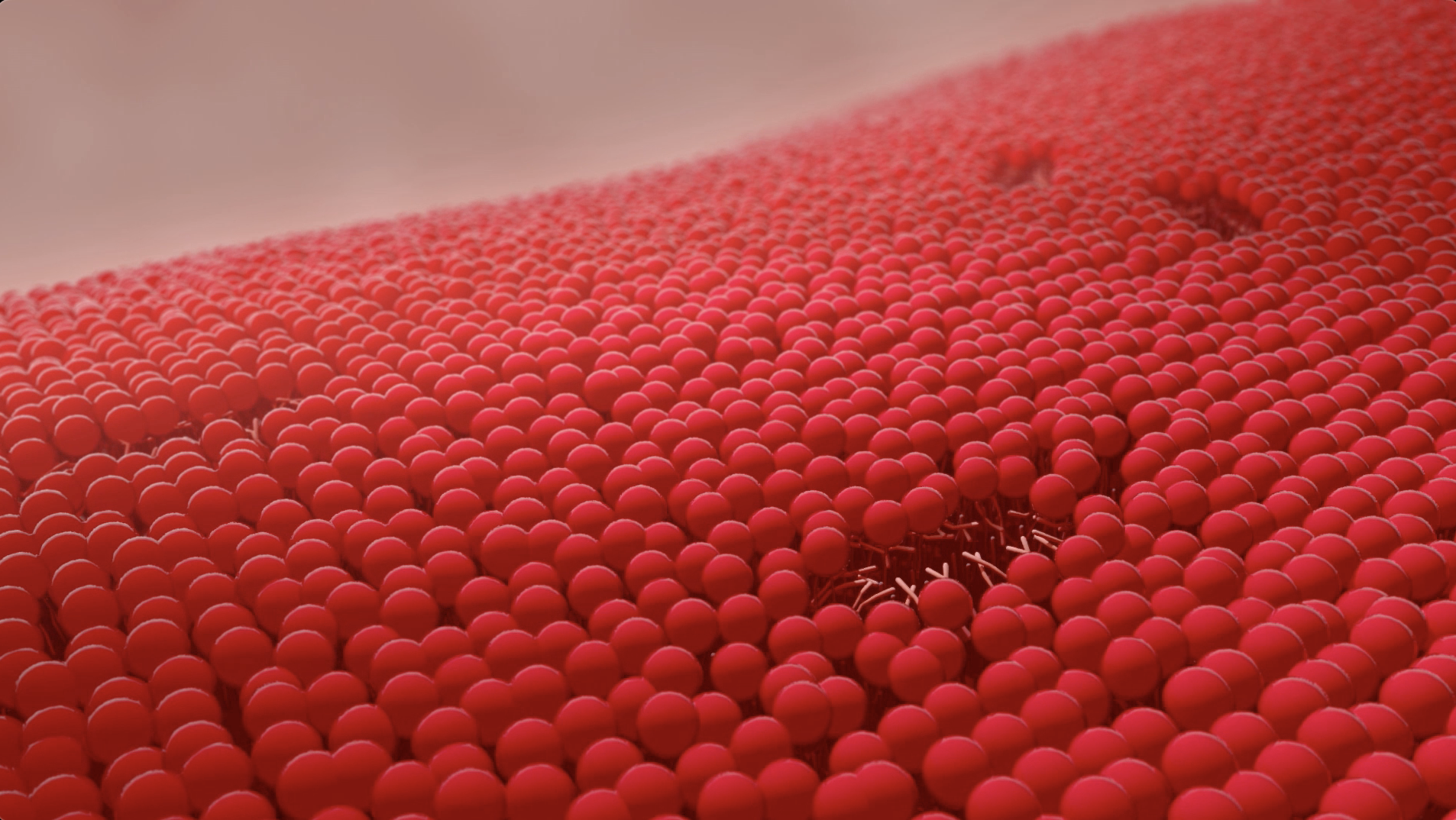 Mast Red Blood Cell.png