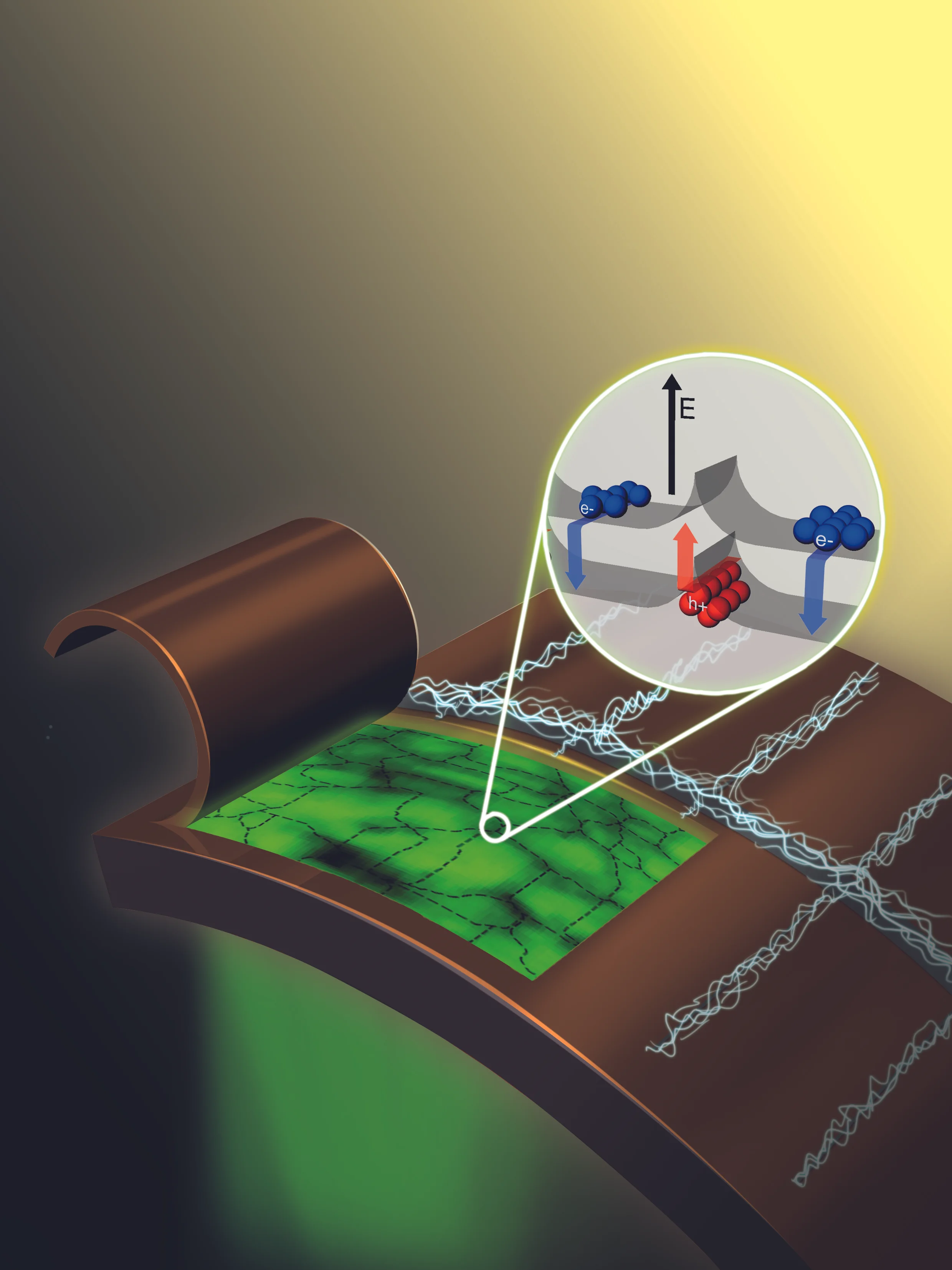 Scientific Illustration