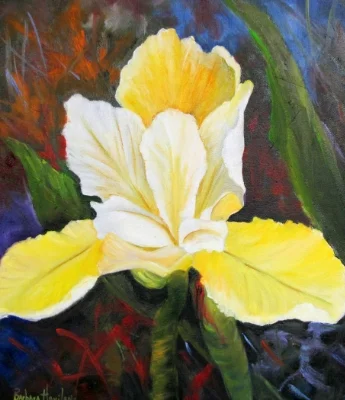 Resized Yellow Iris.jpg