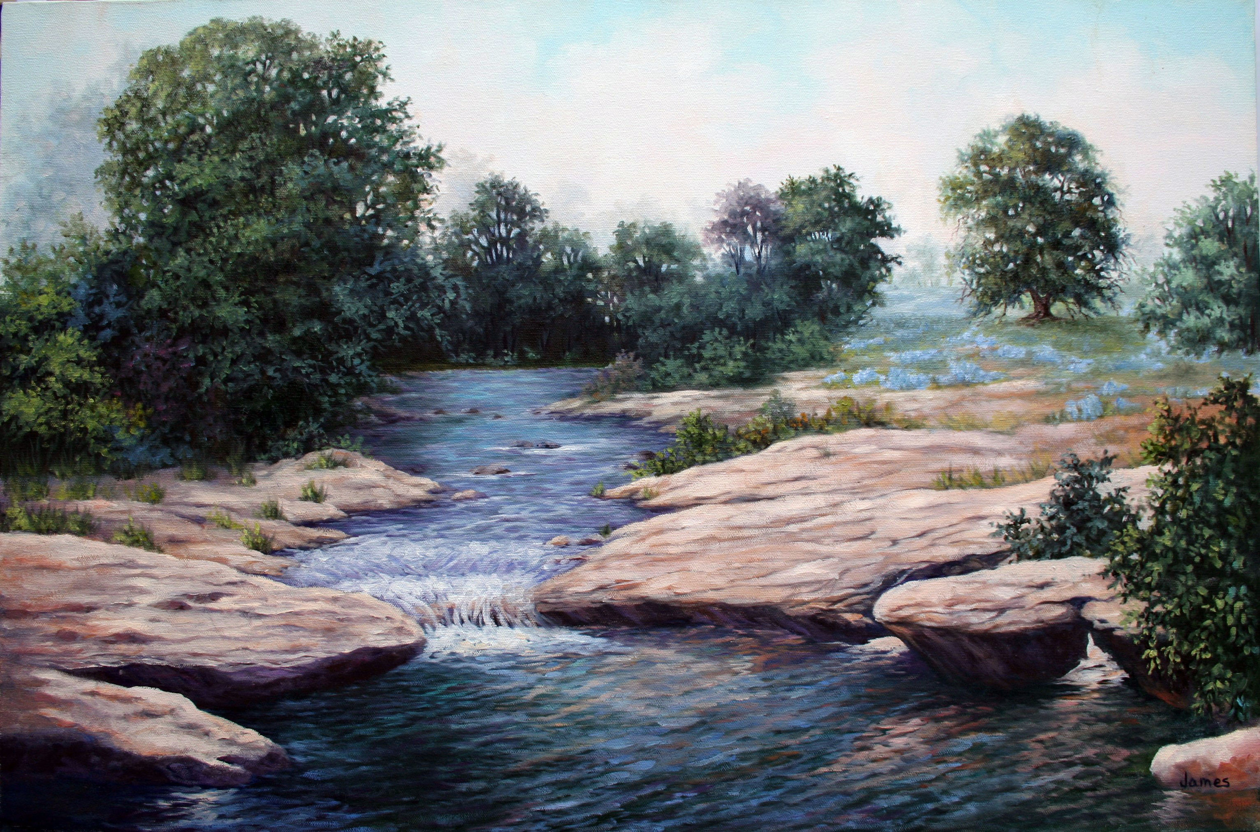 bettyjames_hillcountry_20x30_oil.jpg.JPG