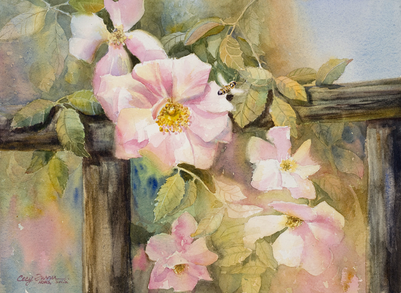 Fenceline Roses_11x15_watercolorpaper_cecyturner.jpg