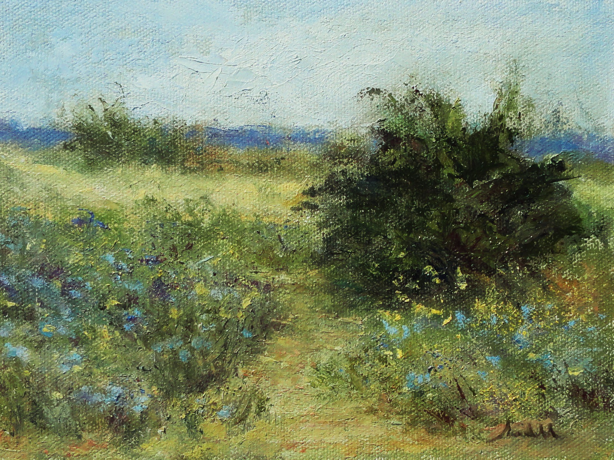 wildflowers on chalk mt. rd._ 6x8_oil_jill randall.JPG