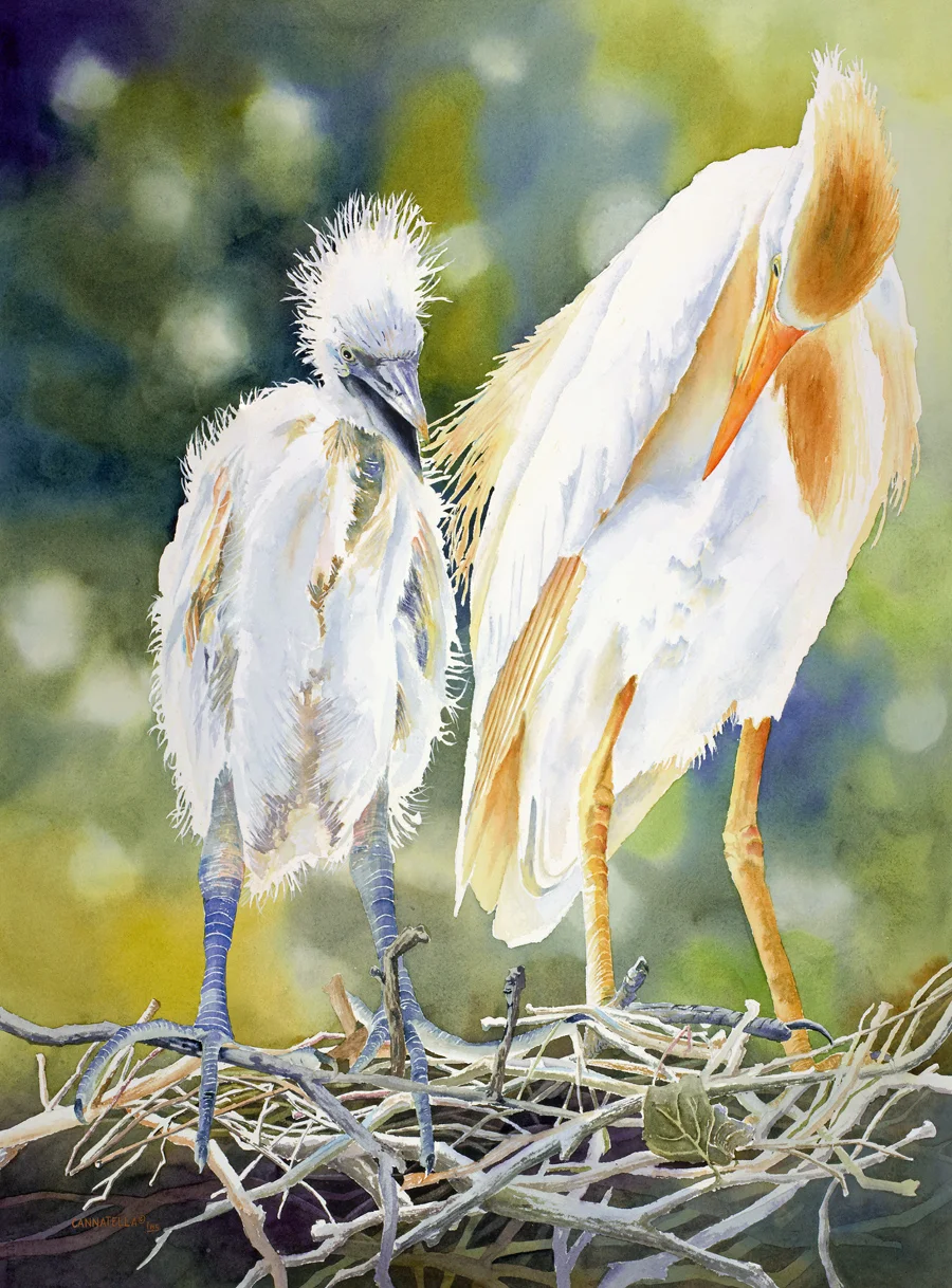 FIRST PLACE : "I've Got it Ma" by Debbie Cannatella Watercolor