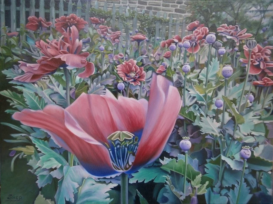 HM "Texas Poppie" by Bob Shepherd Oil on Canvas