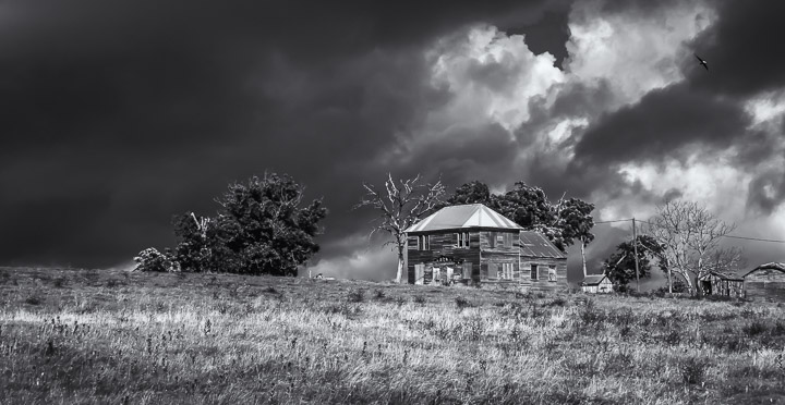 $500 First Place Award • STORM'S COMIN' • copyright Beckey Zajicek, photographer