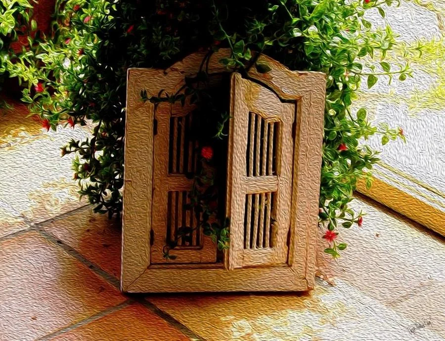 open-windows-suzan-casey.jpg