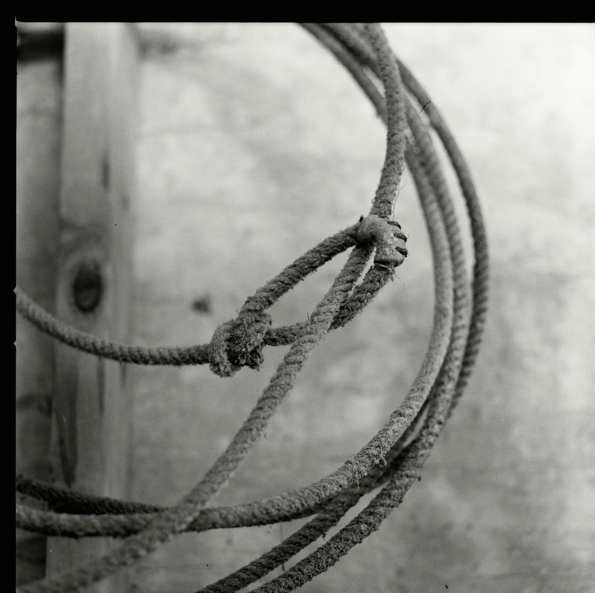 Hasselblad-35720006.jpg
