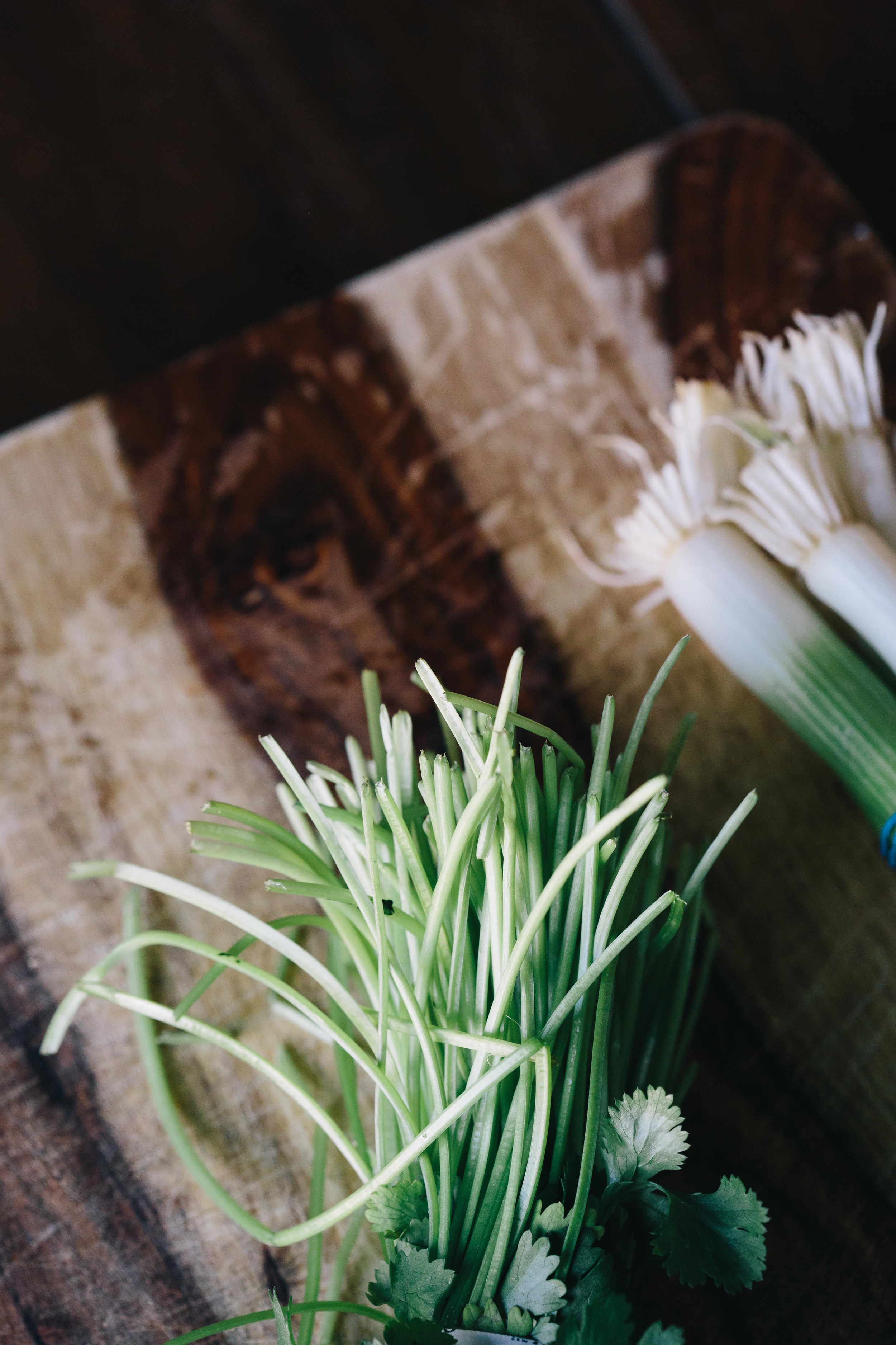 For Skillshare-8592.jpg