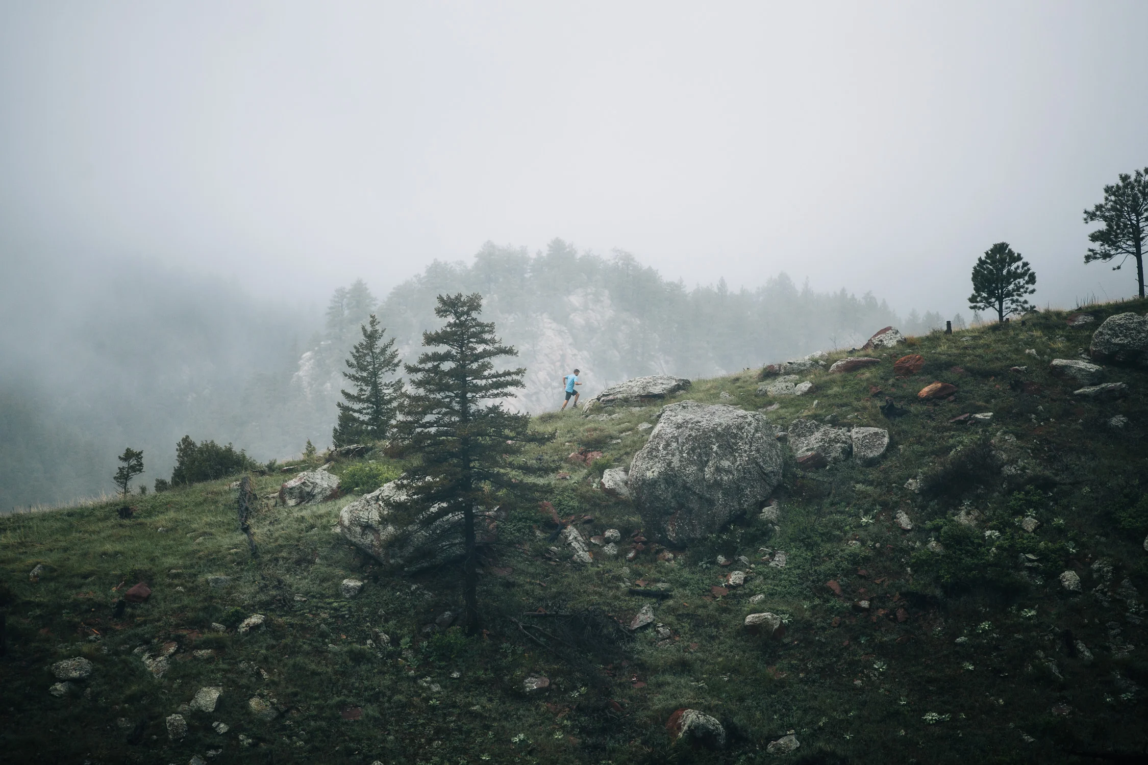 Portfolio - Adventure-2093.jpg