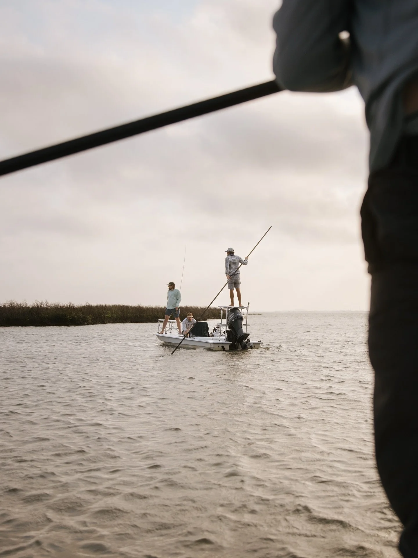 On the lookout. 

Shot for @senderopc [Rockport, TX - May 2022]
