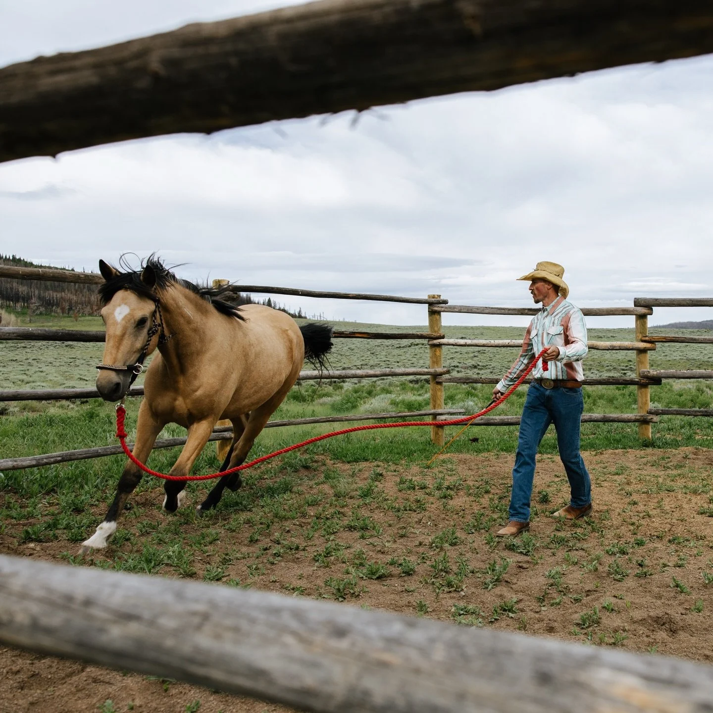 When your @airbnb host is also a cowboy.

Shot for @senderopc [Wyoming - June 2023]