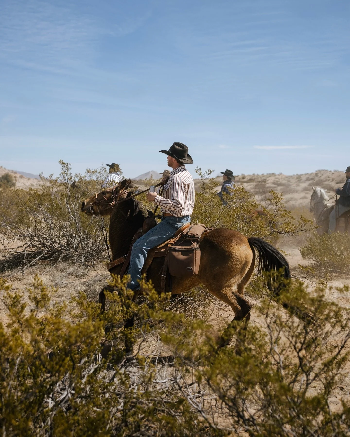 On the move

Shot for @senderopc [El Paso, TX - March 2023]