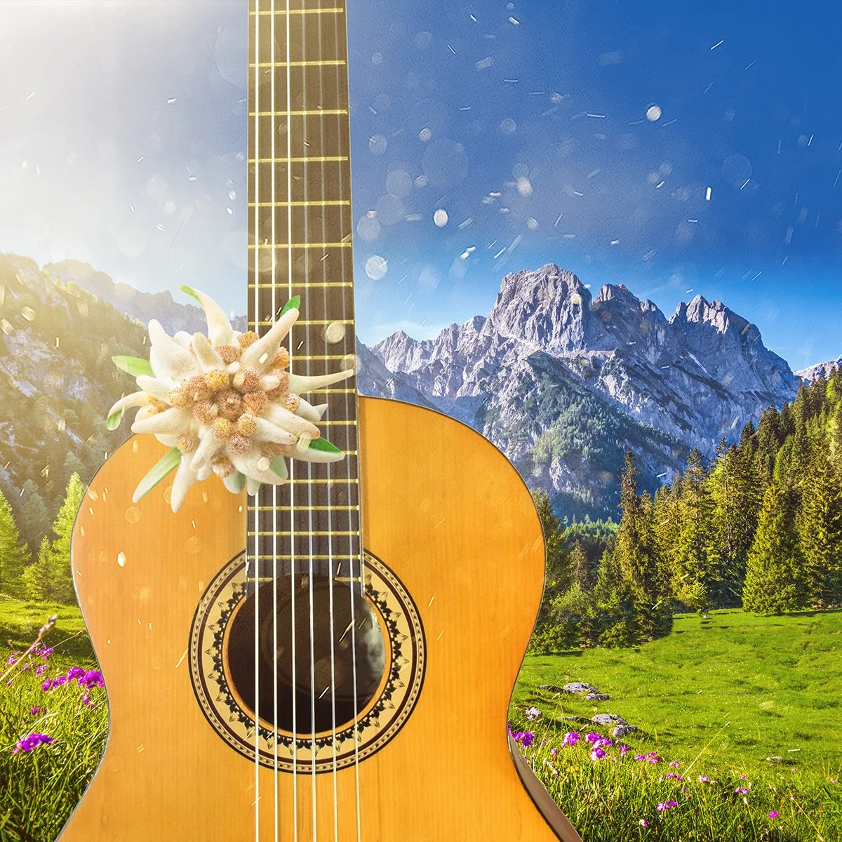 The Sound of Music
