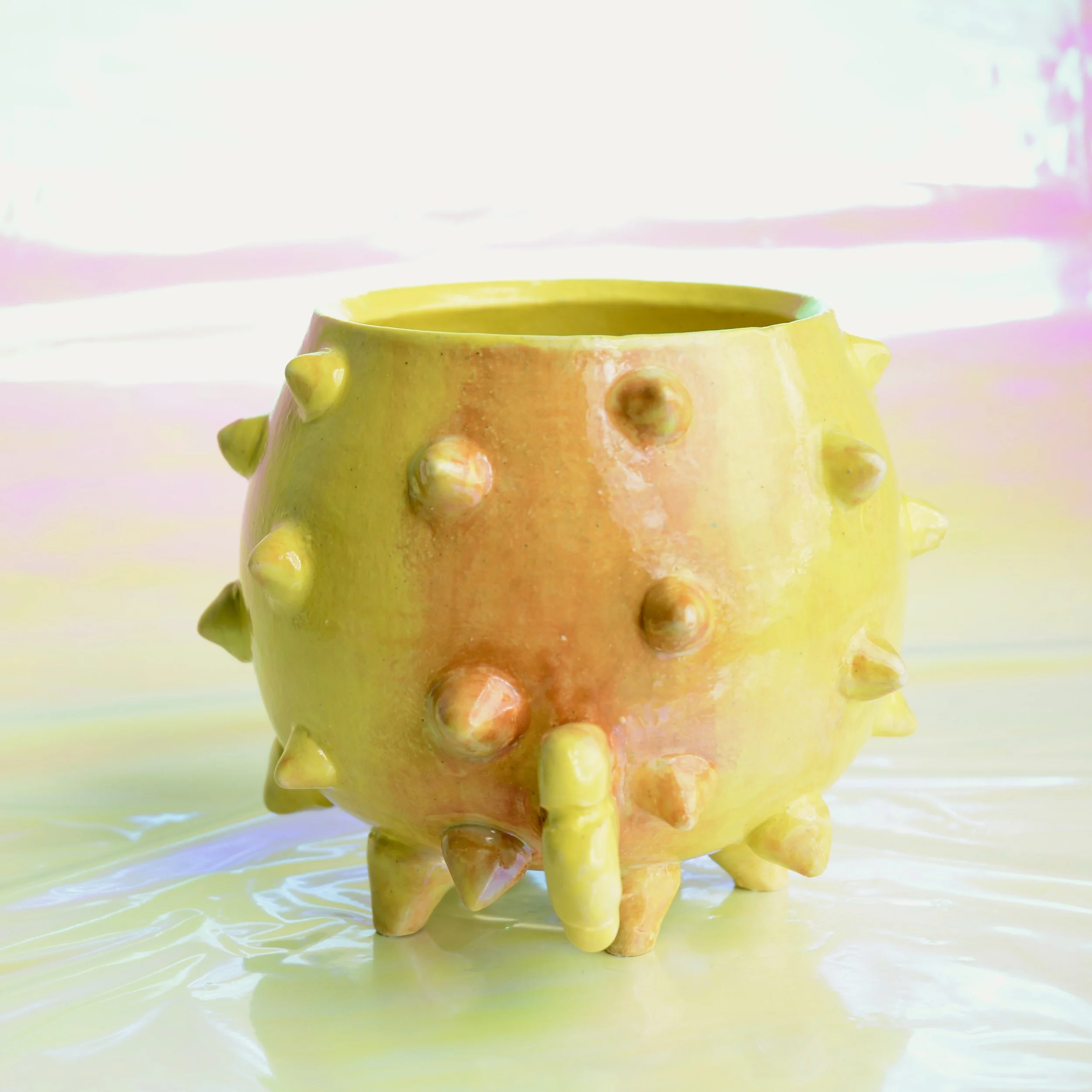 DSC_0125.jpeg