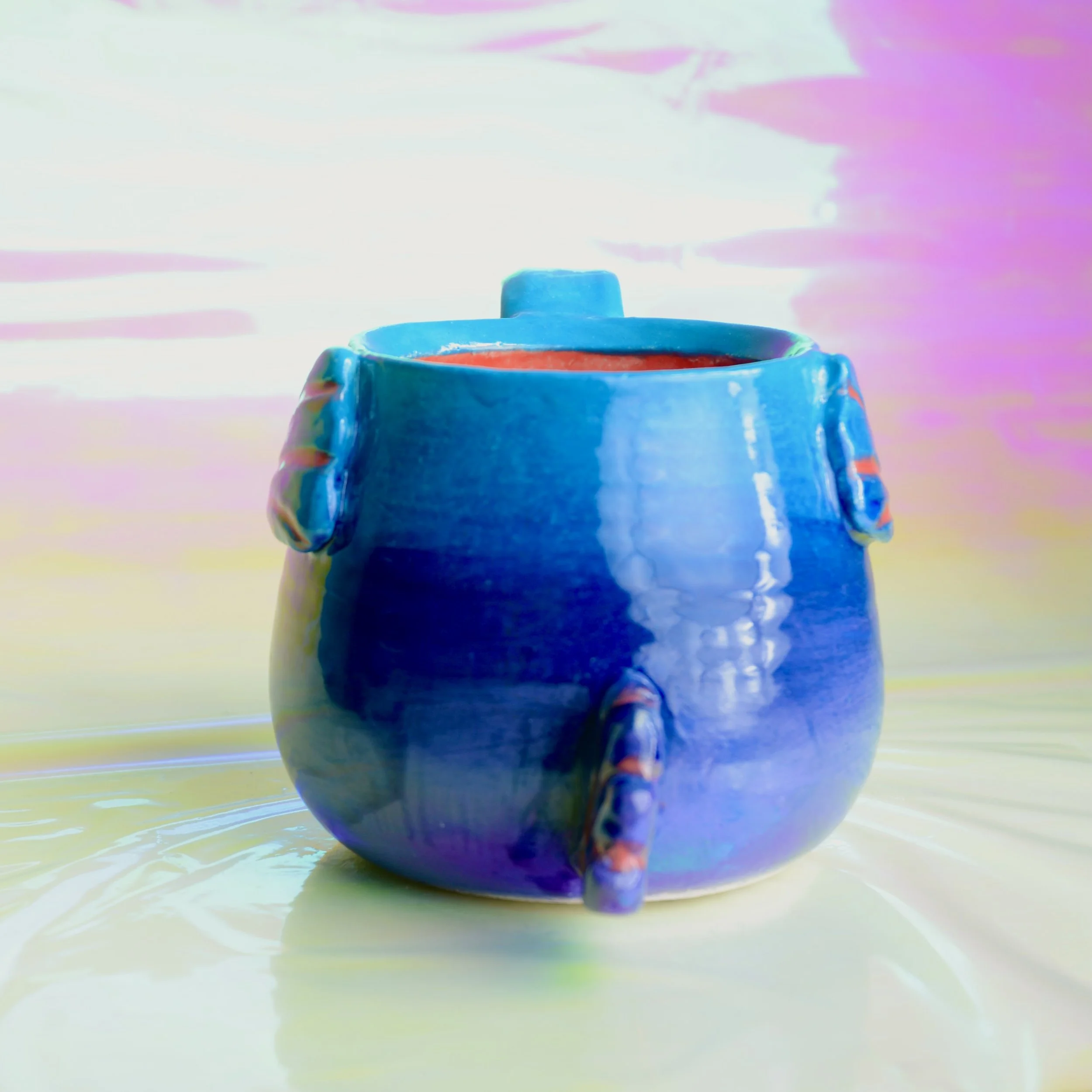 DSC_0377.jpeg