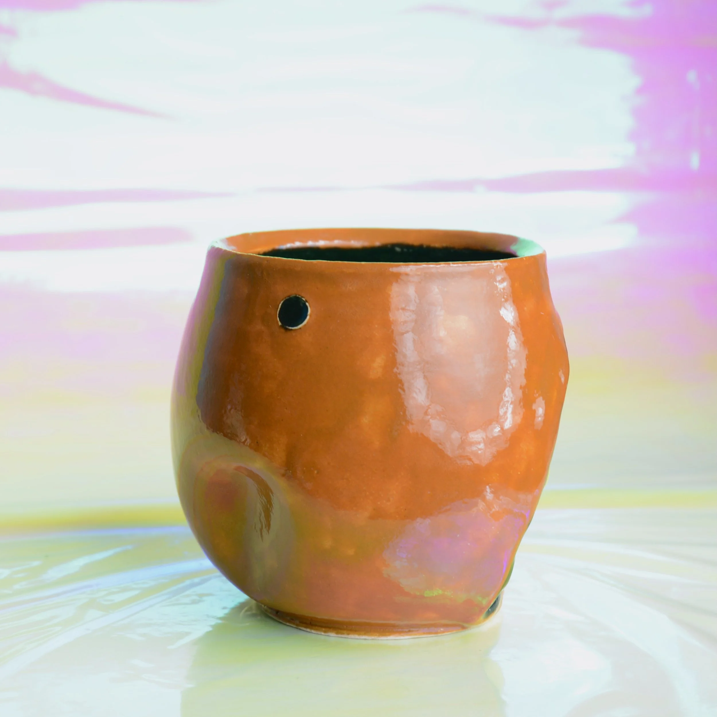 DSC_0629.jpeg