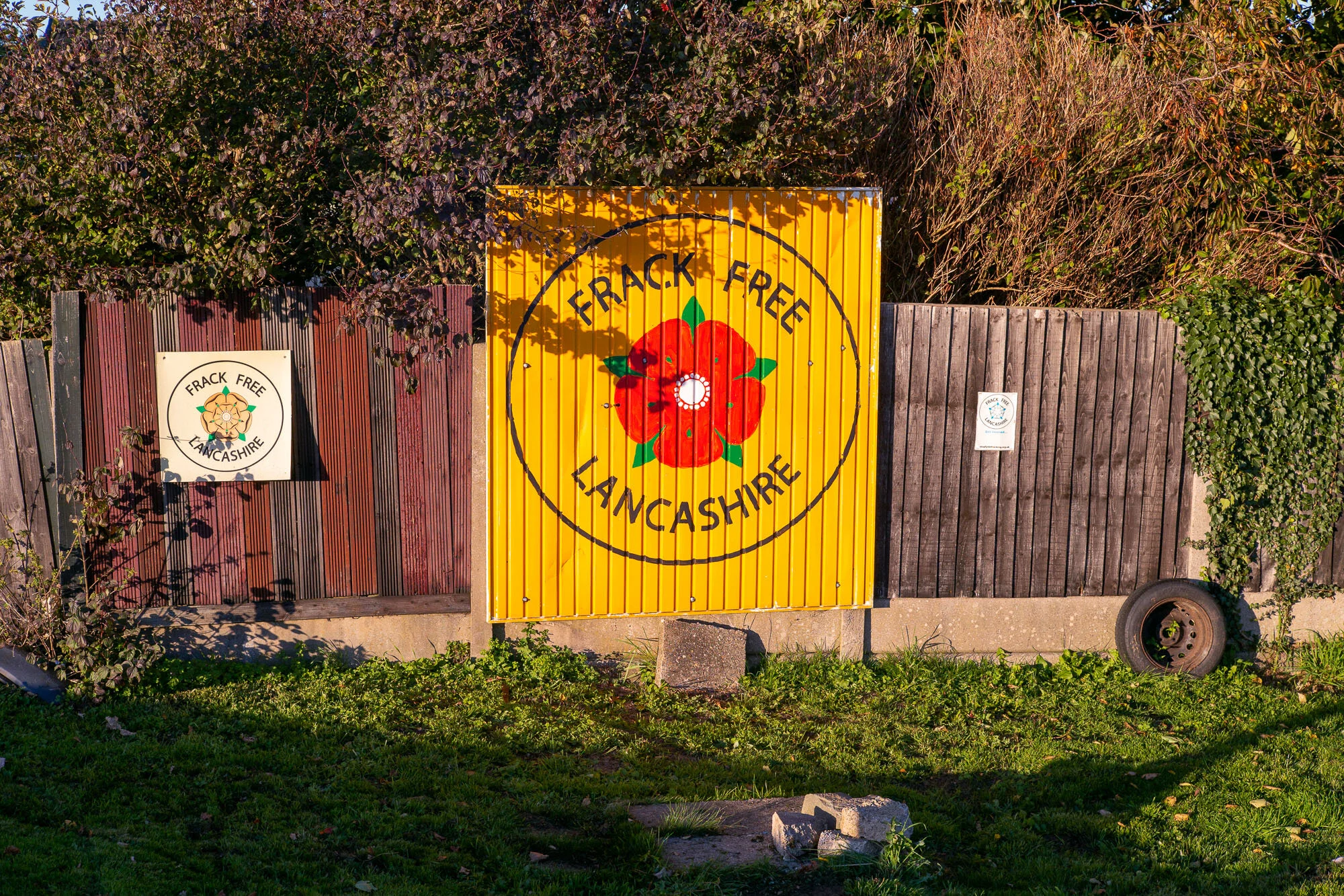 L1006403-2.jpg