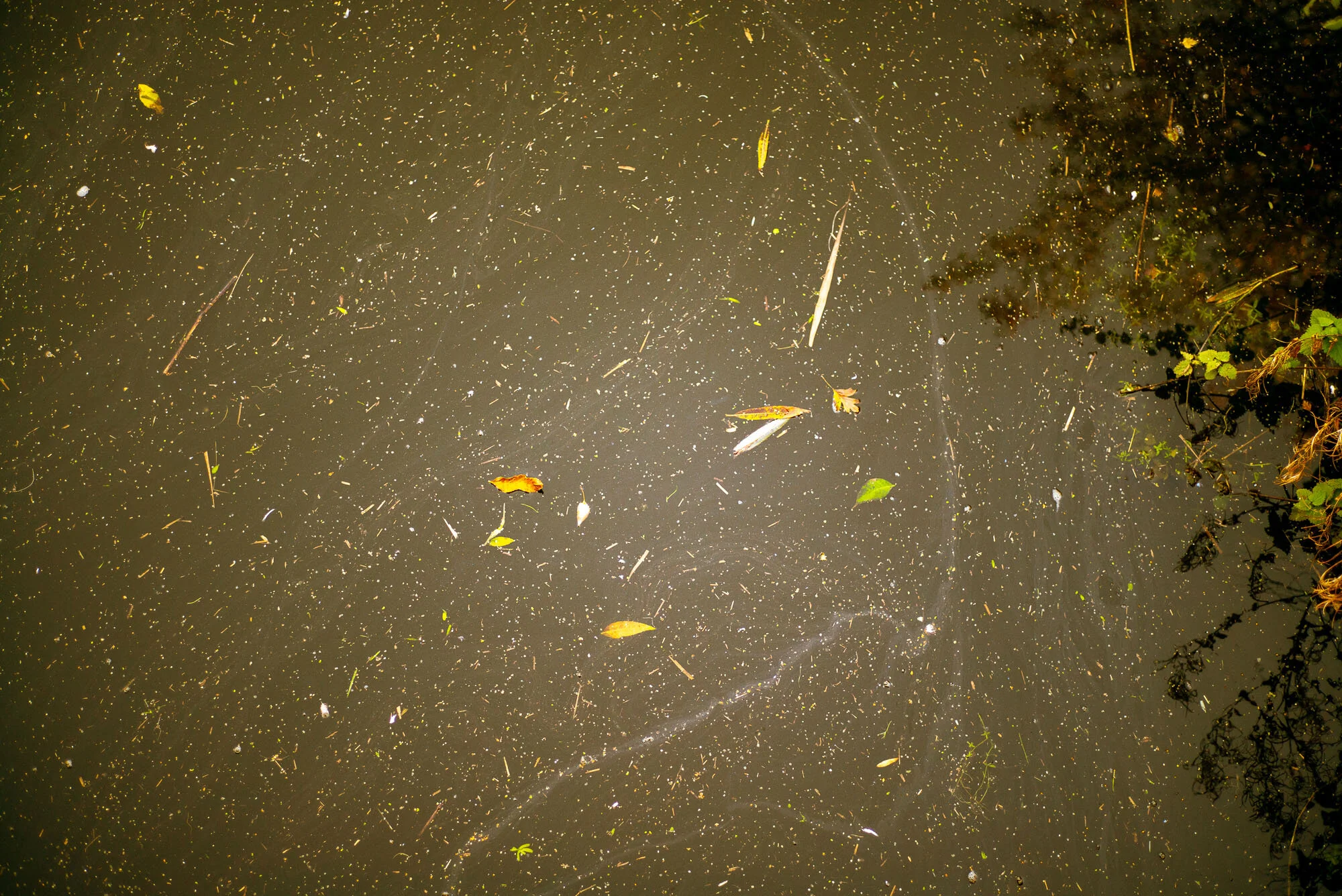 L1006670.jpg