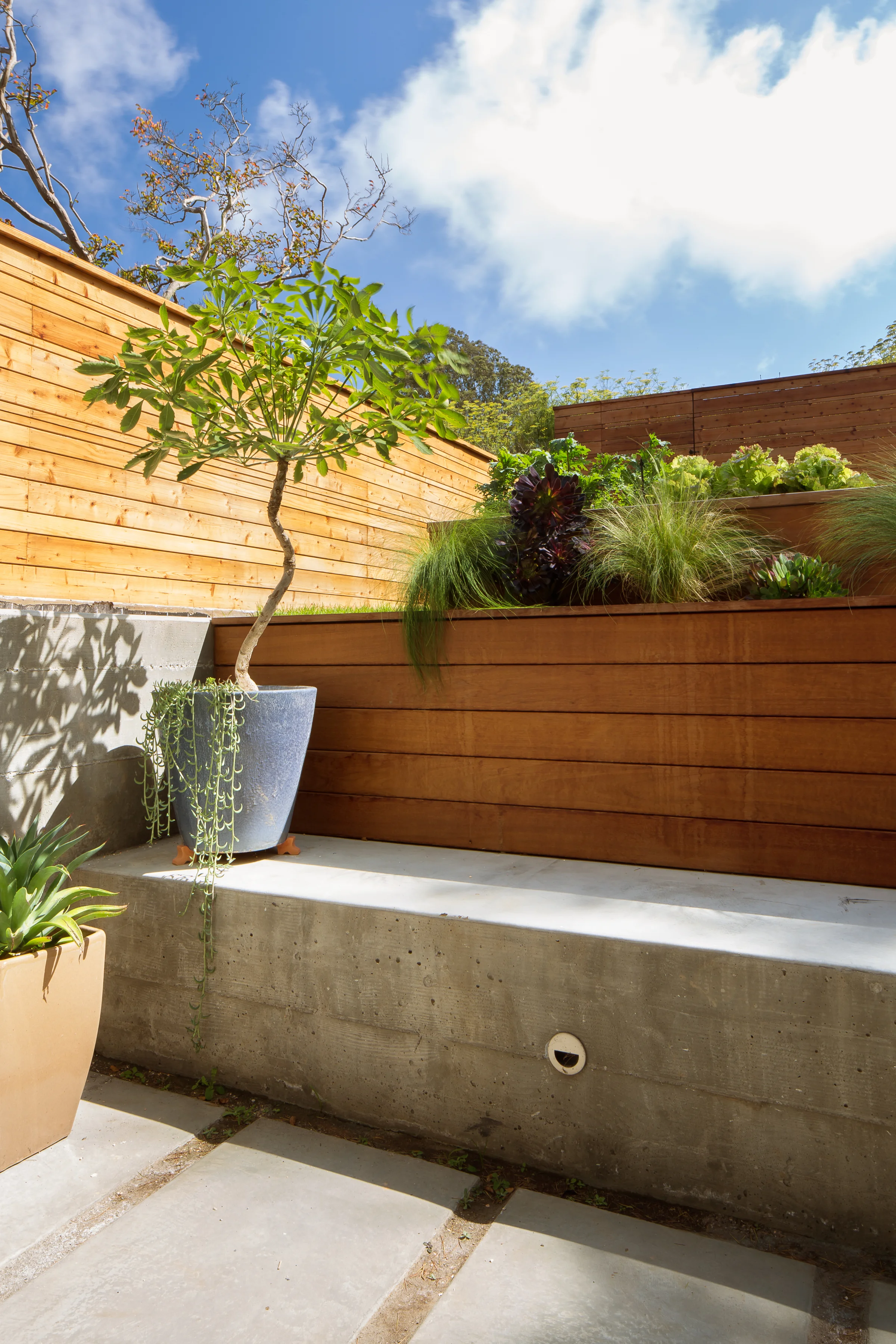 DesignPad-NoeValley-3039.jpg