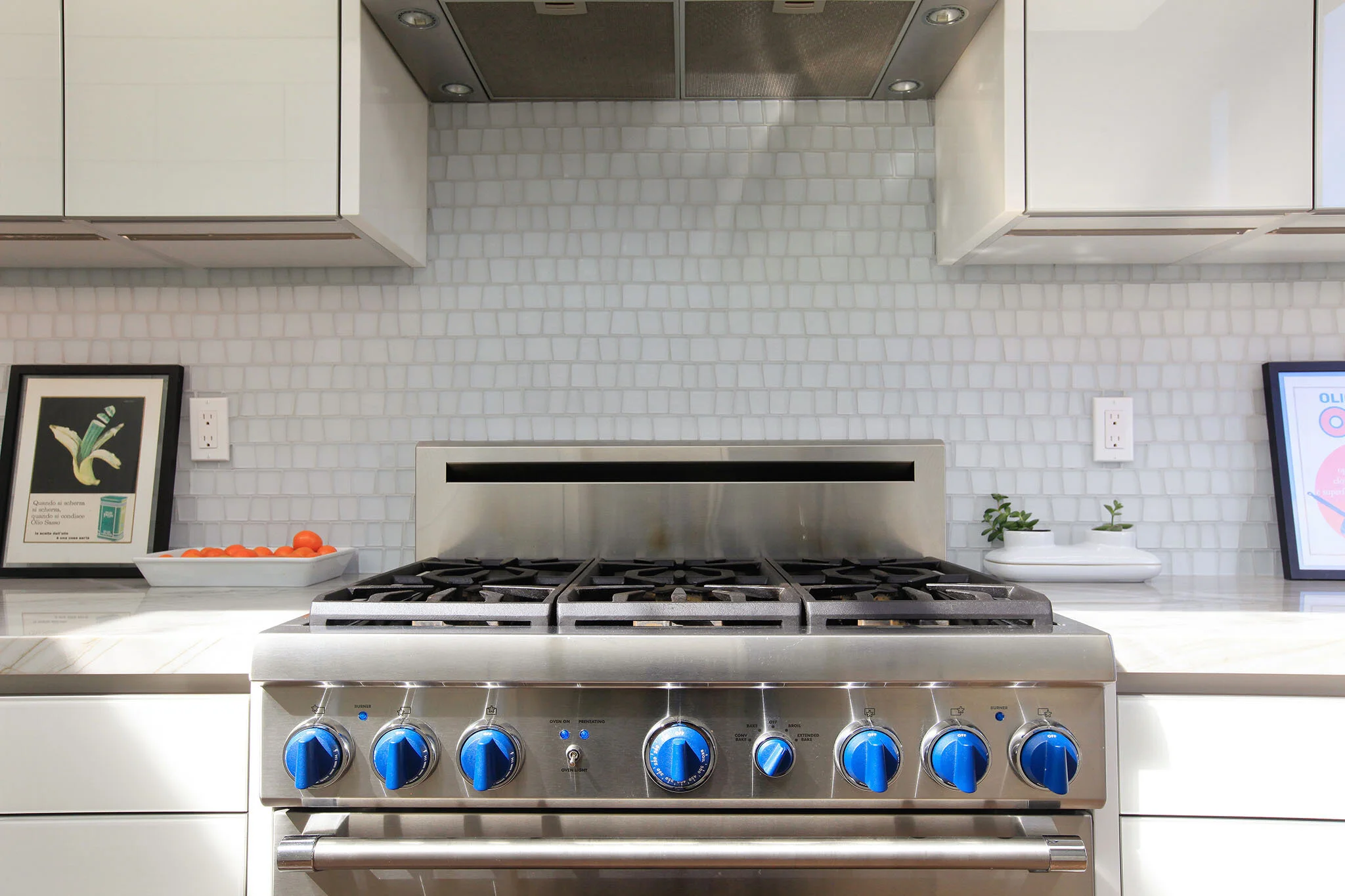 San Francisco Kitchen Renovation