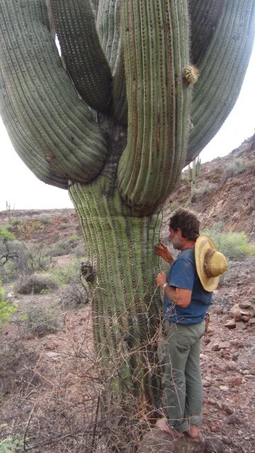 Building Relationships