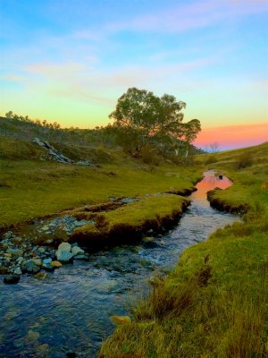 Cooma