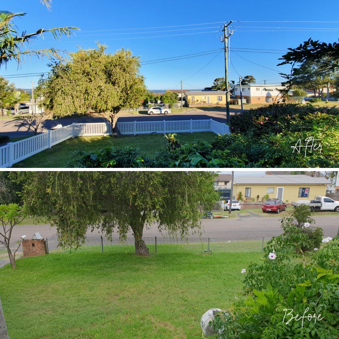 Before and after - main house front yard.jpg