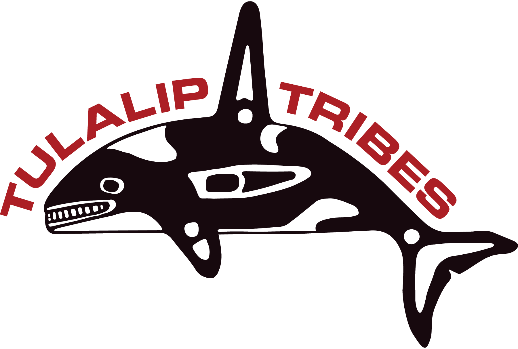 Tulalip Tribes logo featuring a stylized orca, recognizing the Tulalip Tribes as a community supporter of Leadership Snohomish County.