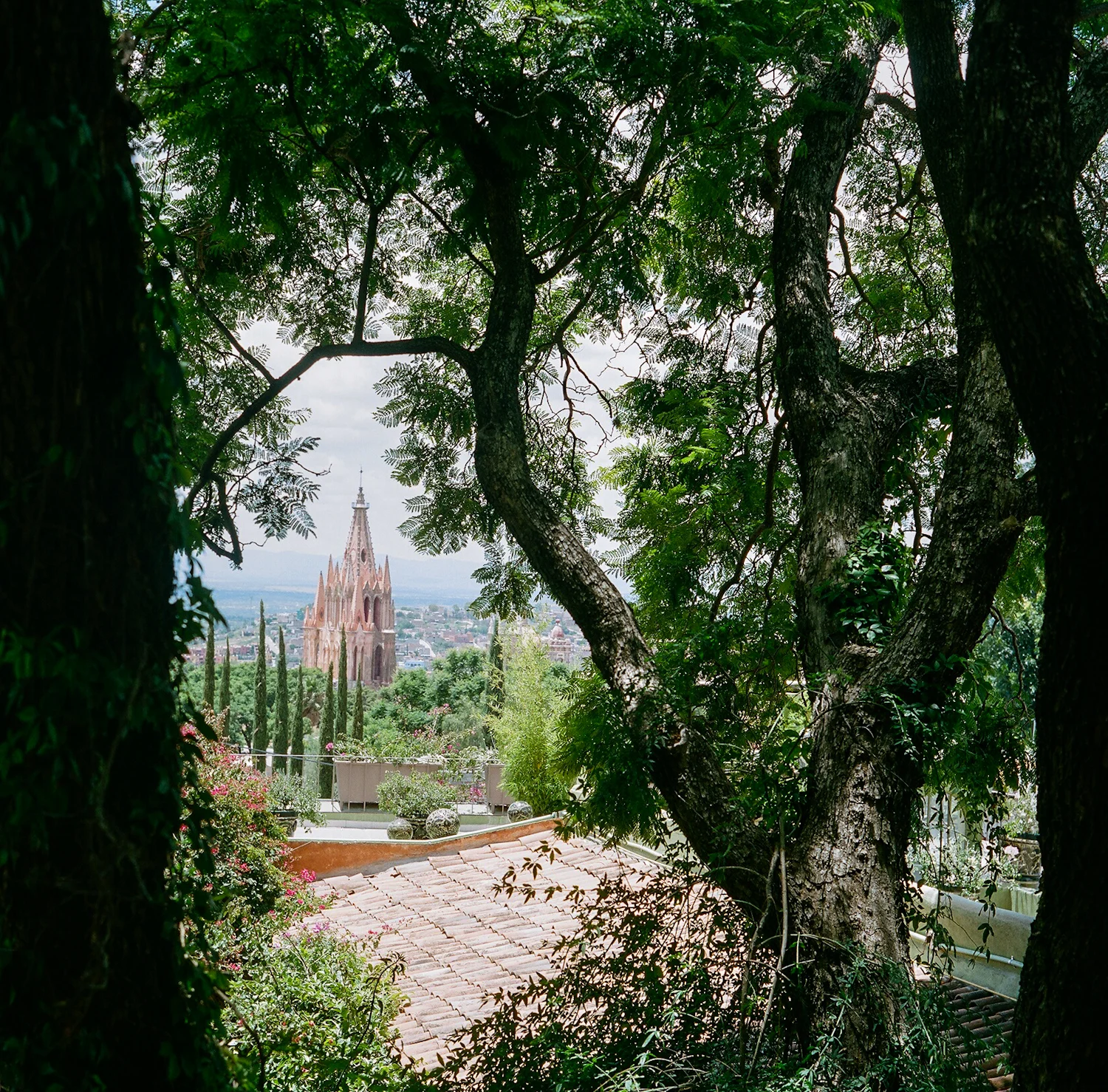 ClemAdrian02.jpg