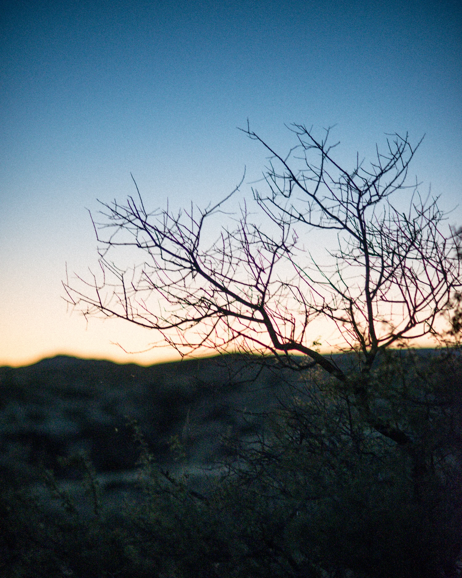 whitespace-002.jpg