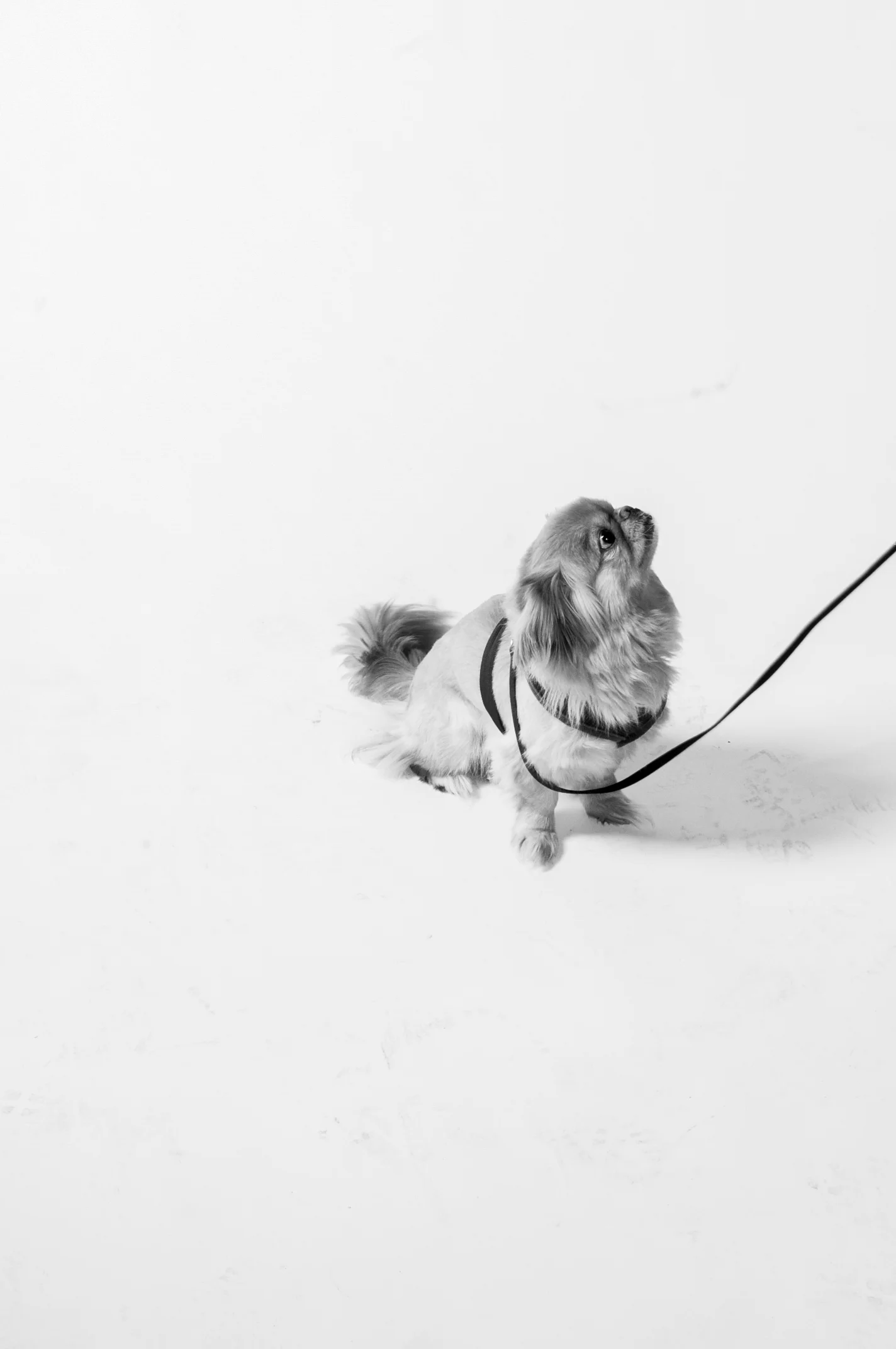 PBfavorites-57.jpg