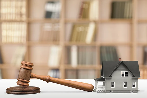 FIVE ESSENTIAL PRE-AUCTION-DAY TIPS