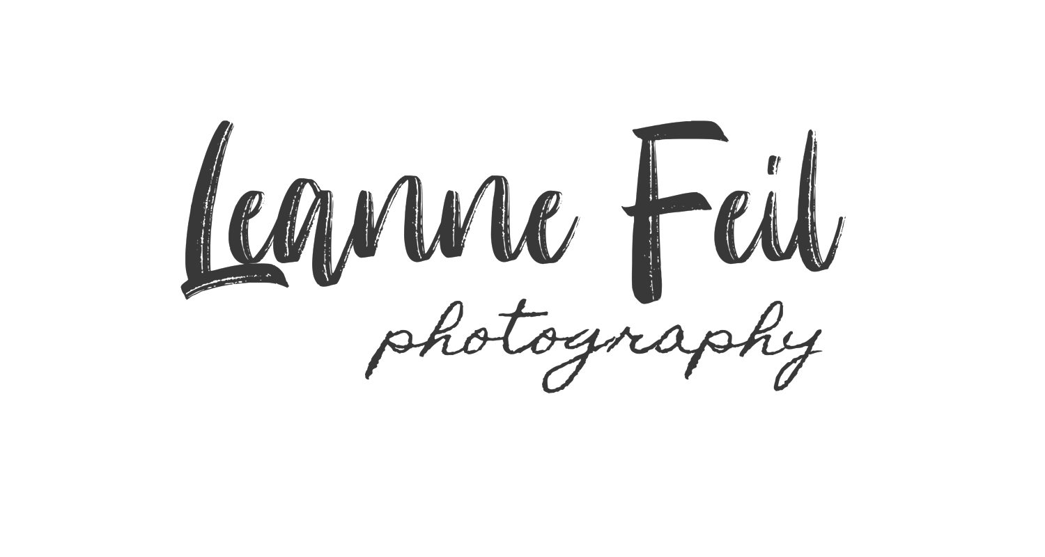 Pittsburgh Photographer | Leanne Feil Photography