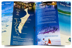 BROCHURES (11"x17") Tri-Fold (100 LB Gloss Book with AQ)