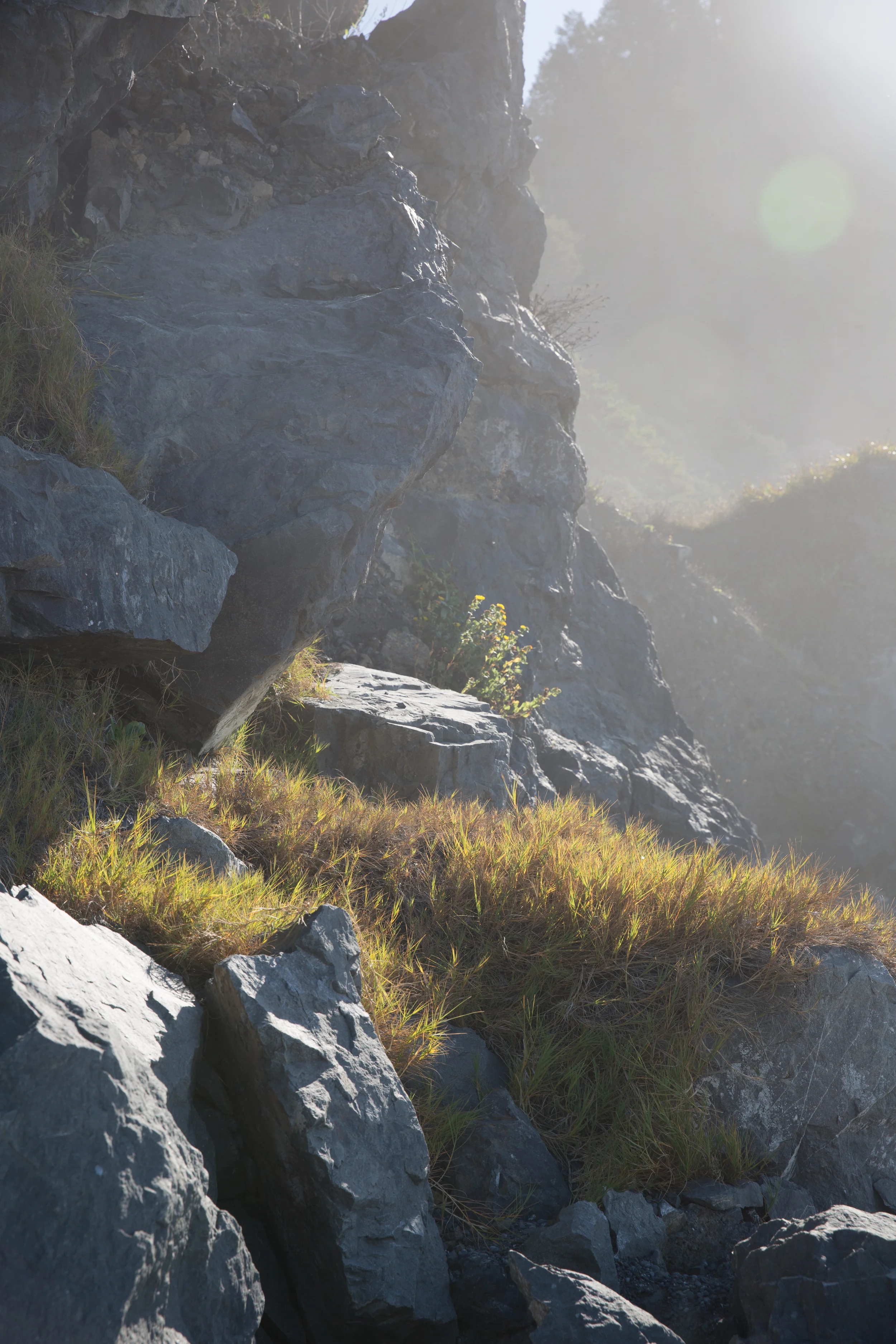 ssuiter_lostcoast-8621.jpg
