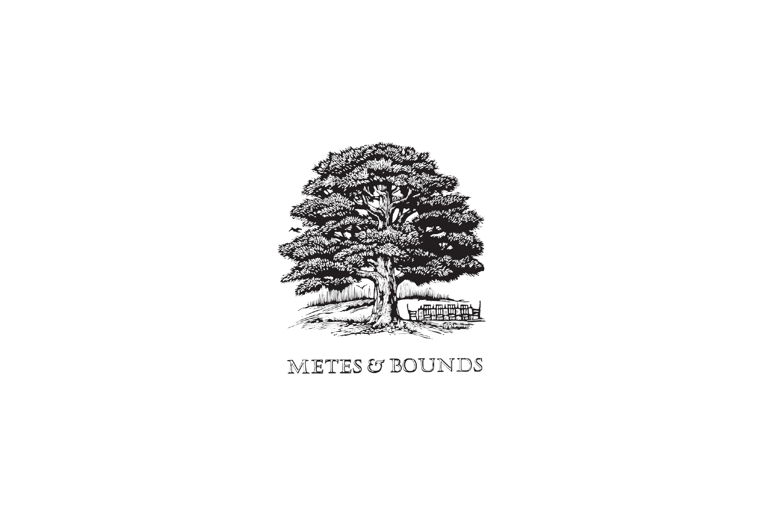 Suiter_web_header_images-06.png