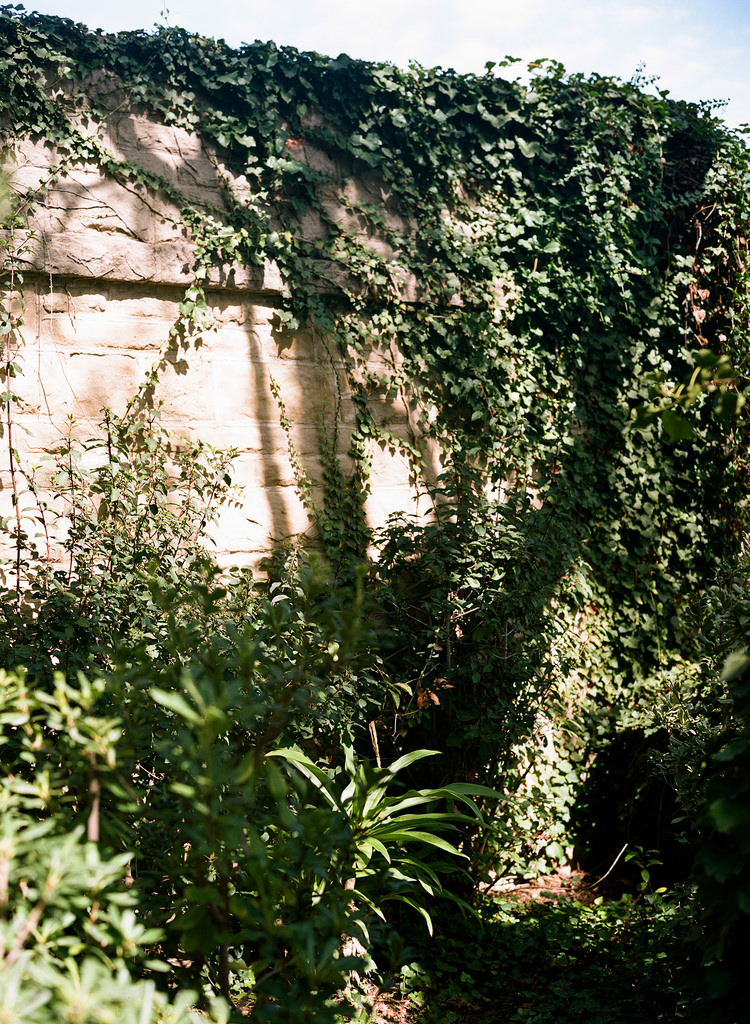 Transient