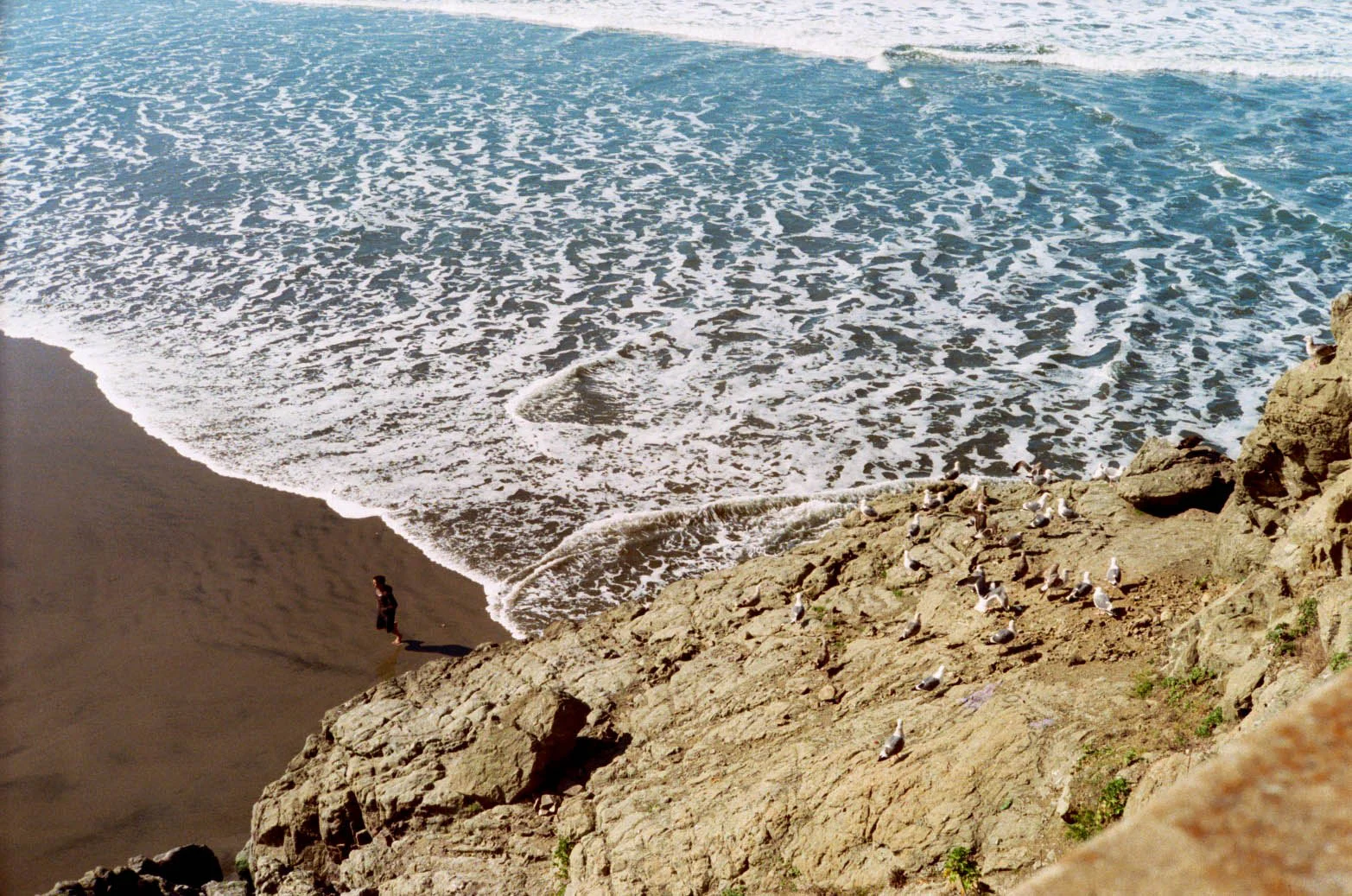 20120206-016_8A.jpg