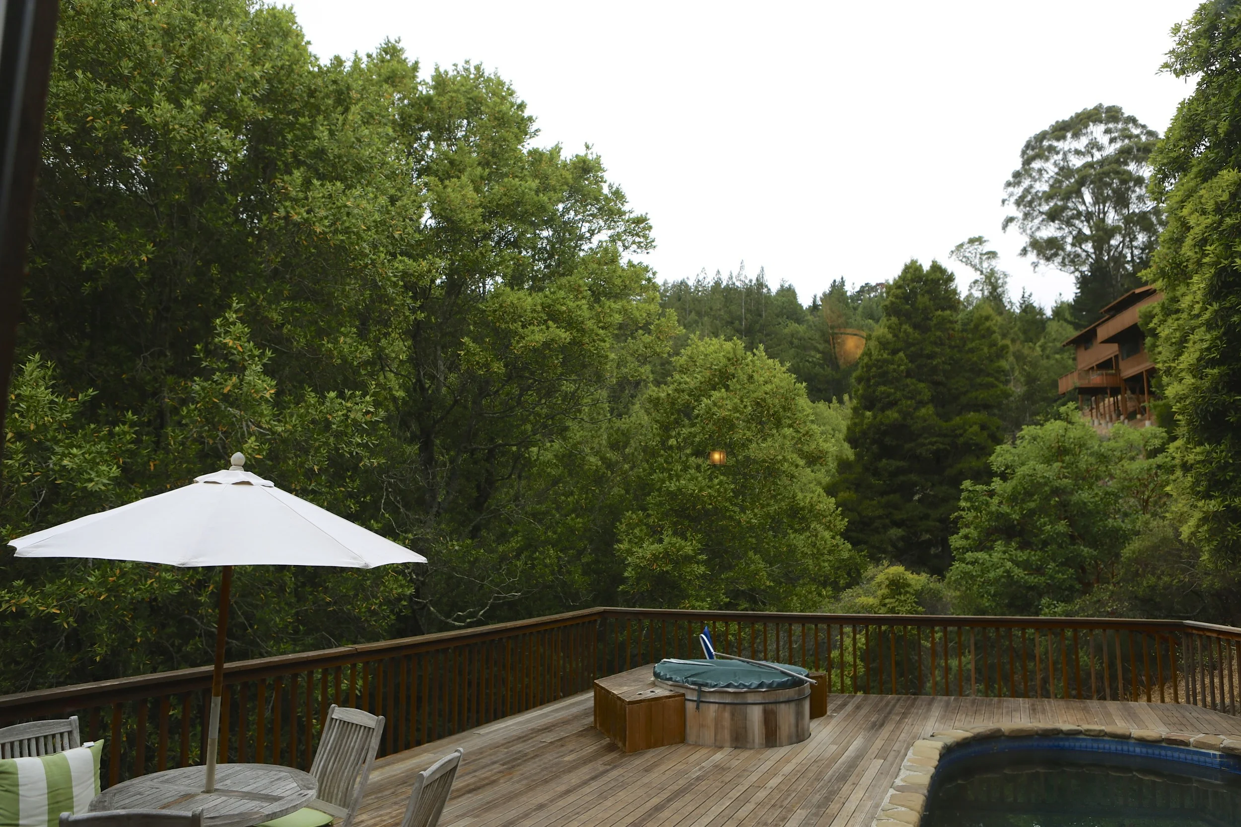 6 P.E.T. Highlights of Summer 2014