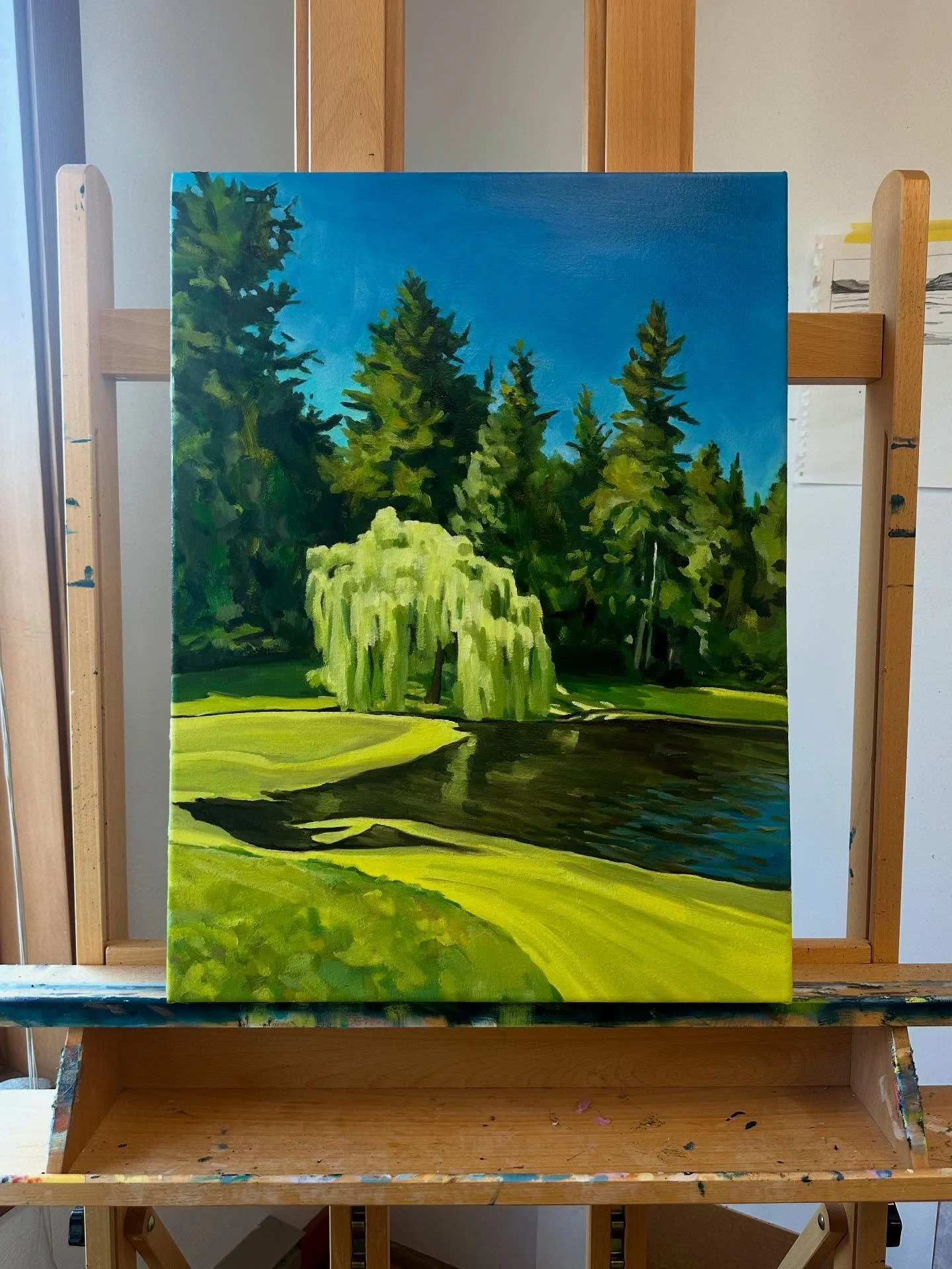 Here&rsquo;s another my recent Bloedel-inspired paintings. This one features their show stopping weeping willow and the chartreuse green watermeal that takes over the mid-pond @bloedelreserve each summer. 

Did you know watermeal is the smallest plan
