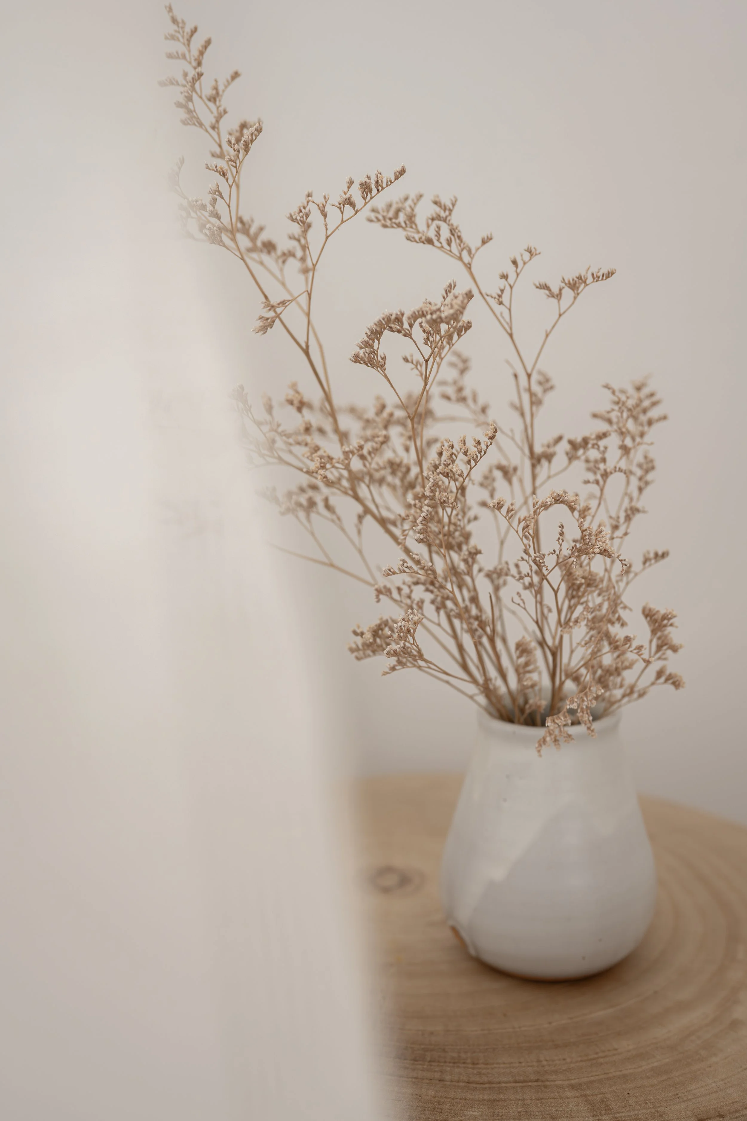 MRP_8478.JPG