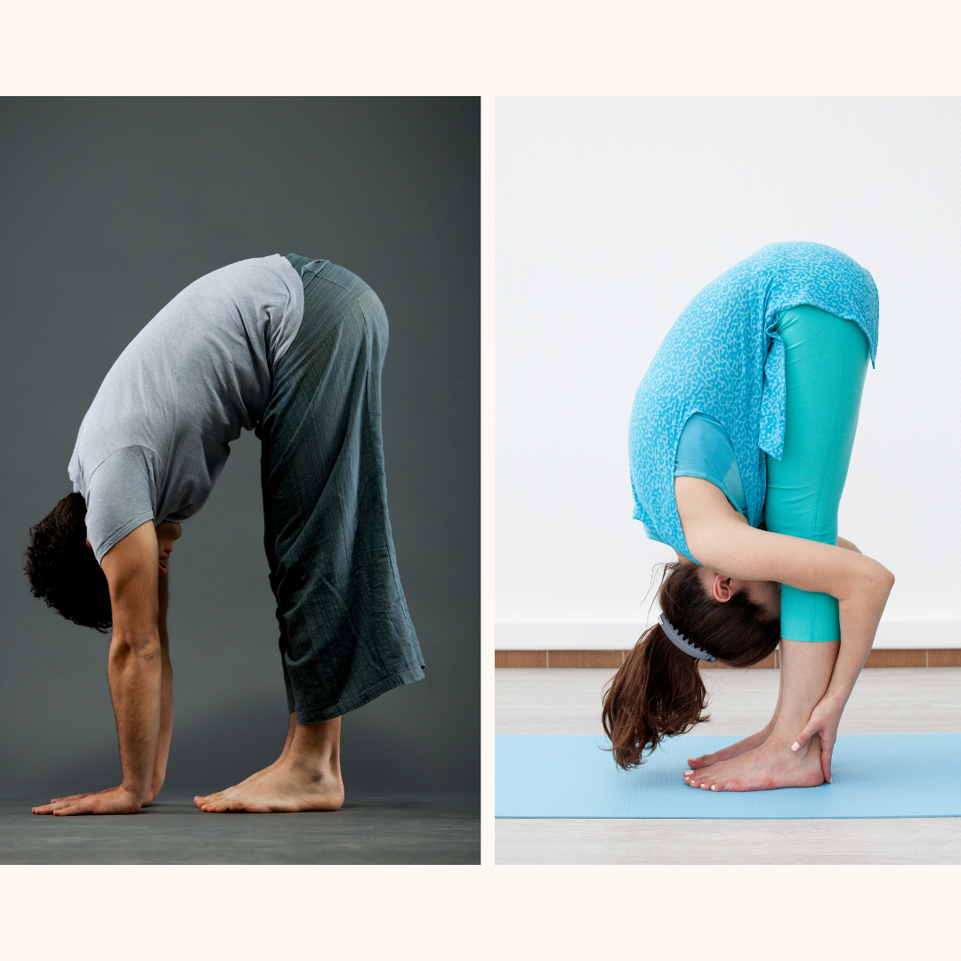 3 Controversial Claims About Yoga & Physiology — Jenni Rawlings Yoga ...