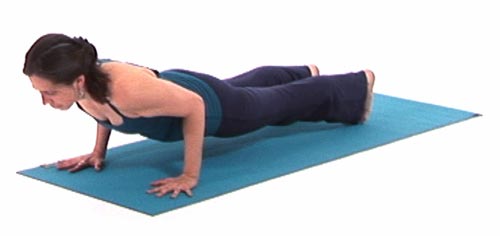 Meet Chaturanga: the Hows and Whys of Our Yoga Pose of the Month – Bayou  Yoga