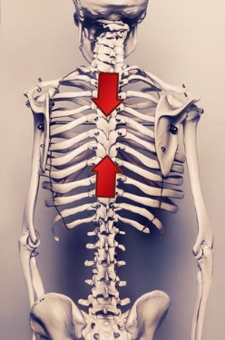 Spinal extension.