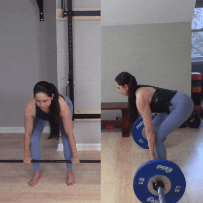 BB DL gif.gif