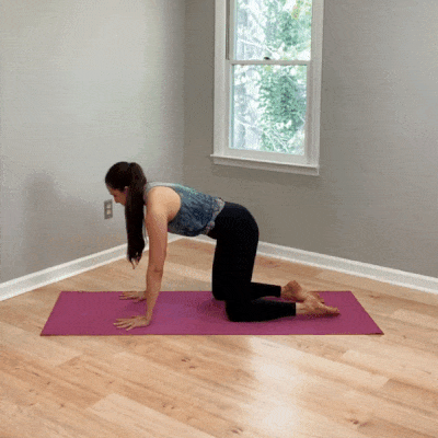 Bird dog core stability exercise