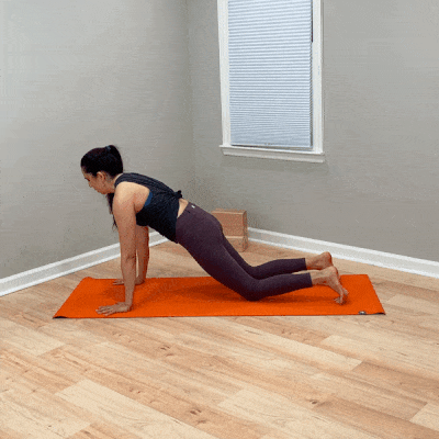 kneeling push-ups.gif