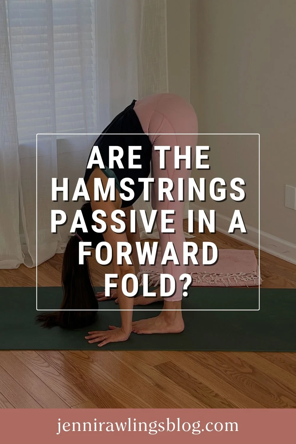 Are the Hamstrings Passive in a Forward Fold?